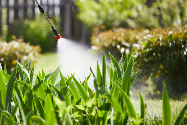 Tamper-Resistant Bait Stations for Rodents in Trinidad