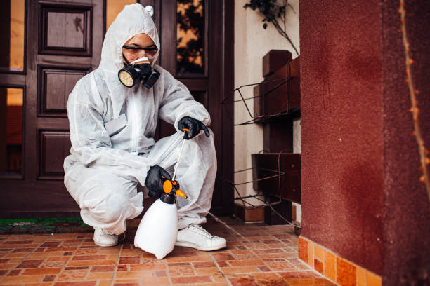 Attic and Crawl Space Rodent Treatment in Trinidad
